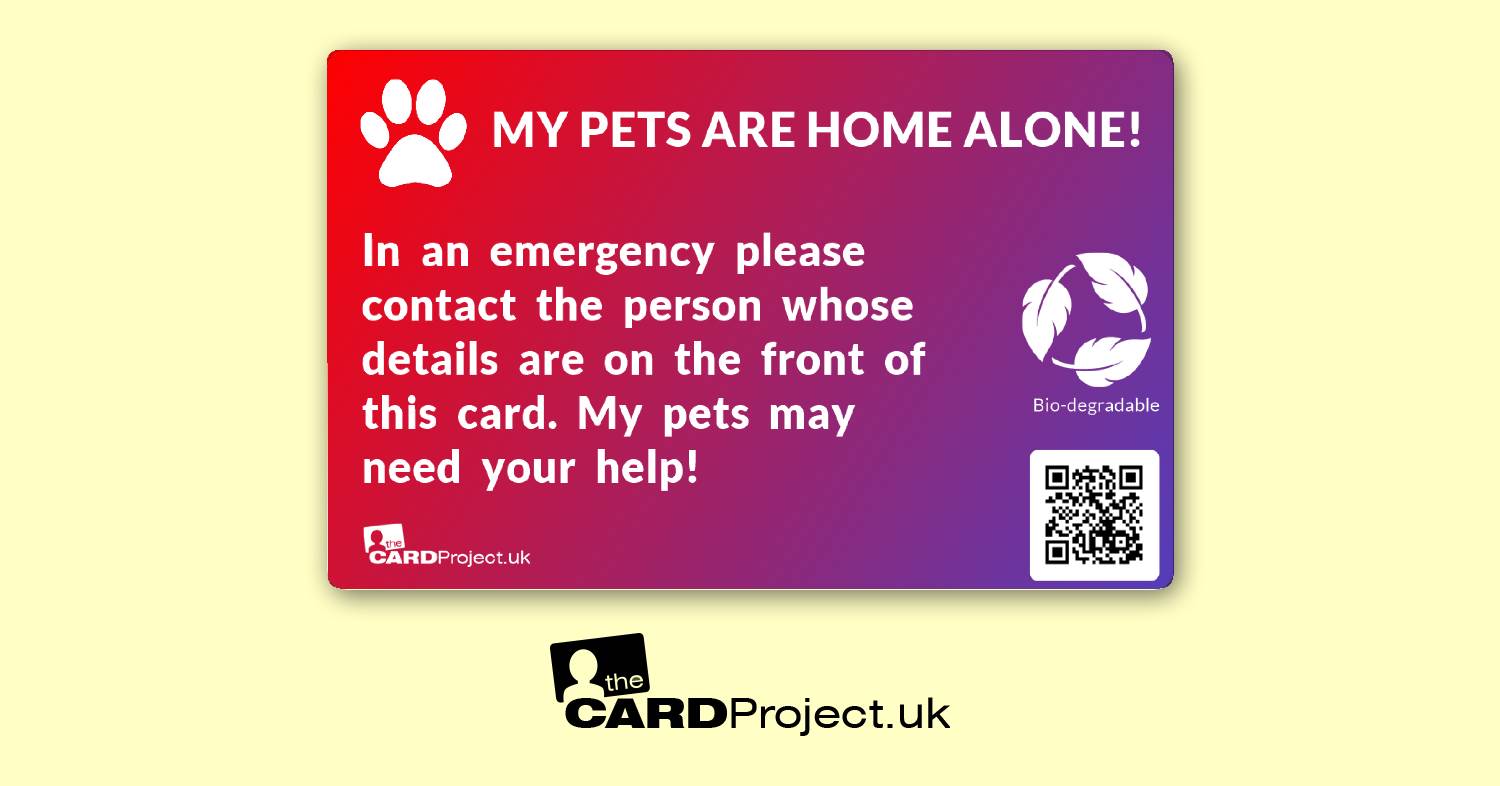 My Pets Are Home Alone Photo Card, Emergency Contact Design  (REAR)